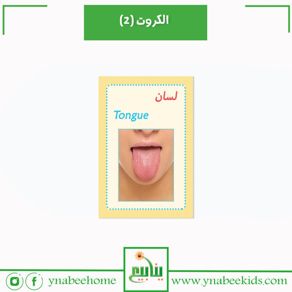 الكروت (2)