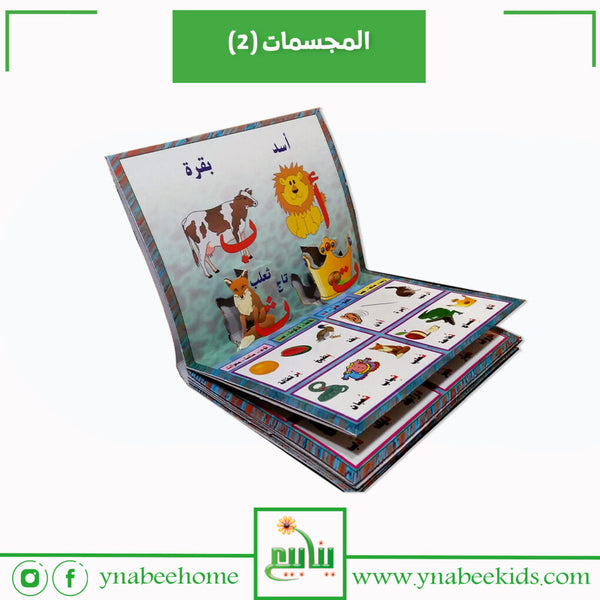 المجسمات (2)