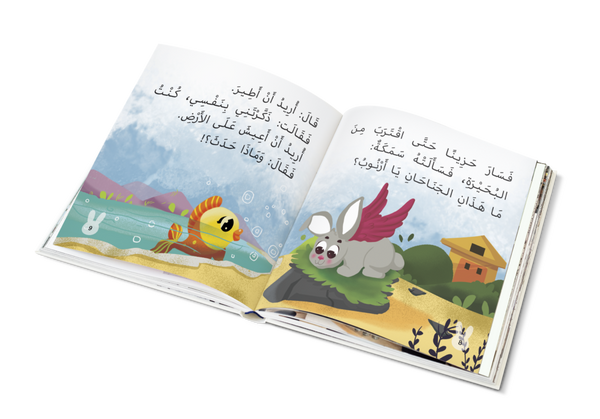 أرض الأرانب